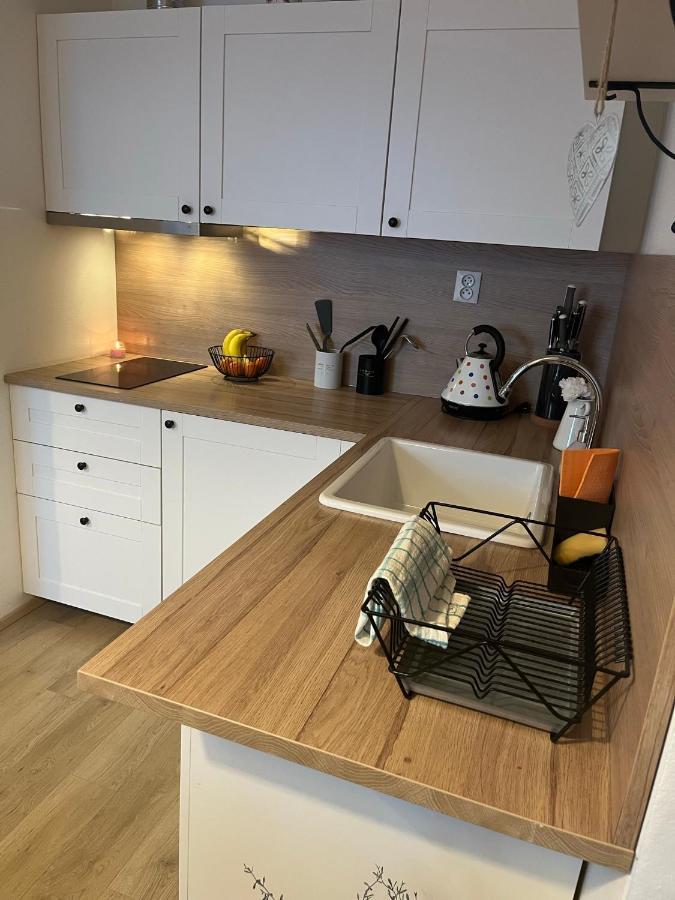 Útulný apartmán na Dolní Moravě Dolní Morava Exterior foto